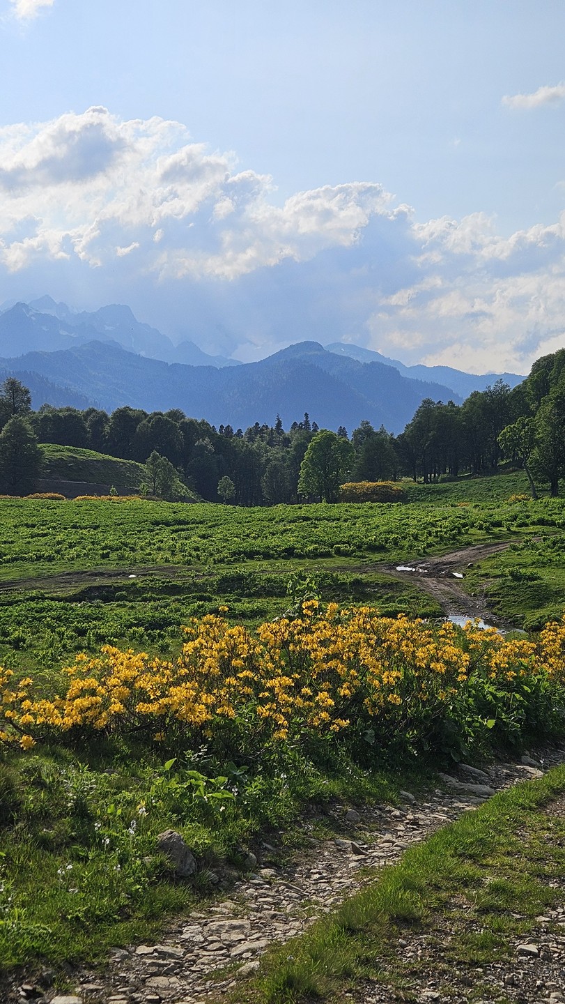 Это были потрясающие три дня в цветущих горах с Инной и Славой!