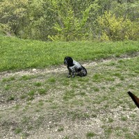 Фото отзыва 3: экскурсия "Прогулка на лошадях в Геленджике"