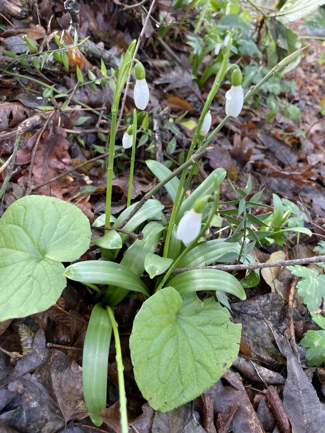 Недавно посетили экскурсию на Орлиные скалы с гидом Романом — это было незабываемое приключение!