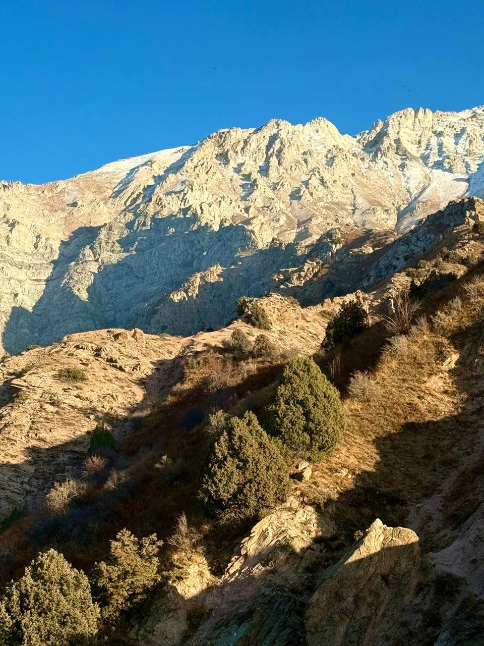 Нам назначили потрясающего гида - Елену, она мастер своего дела. Отвезла в самые красивые горные места