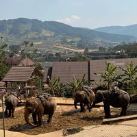 Фото отзыва 1: экскурсия "В Далат — из Нячанга"