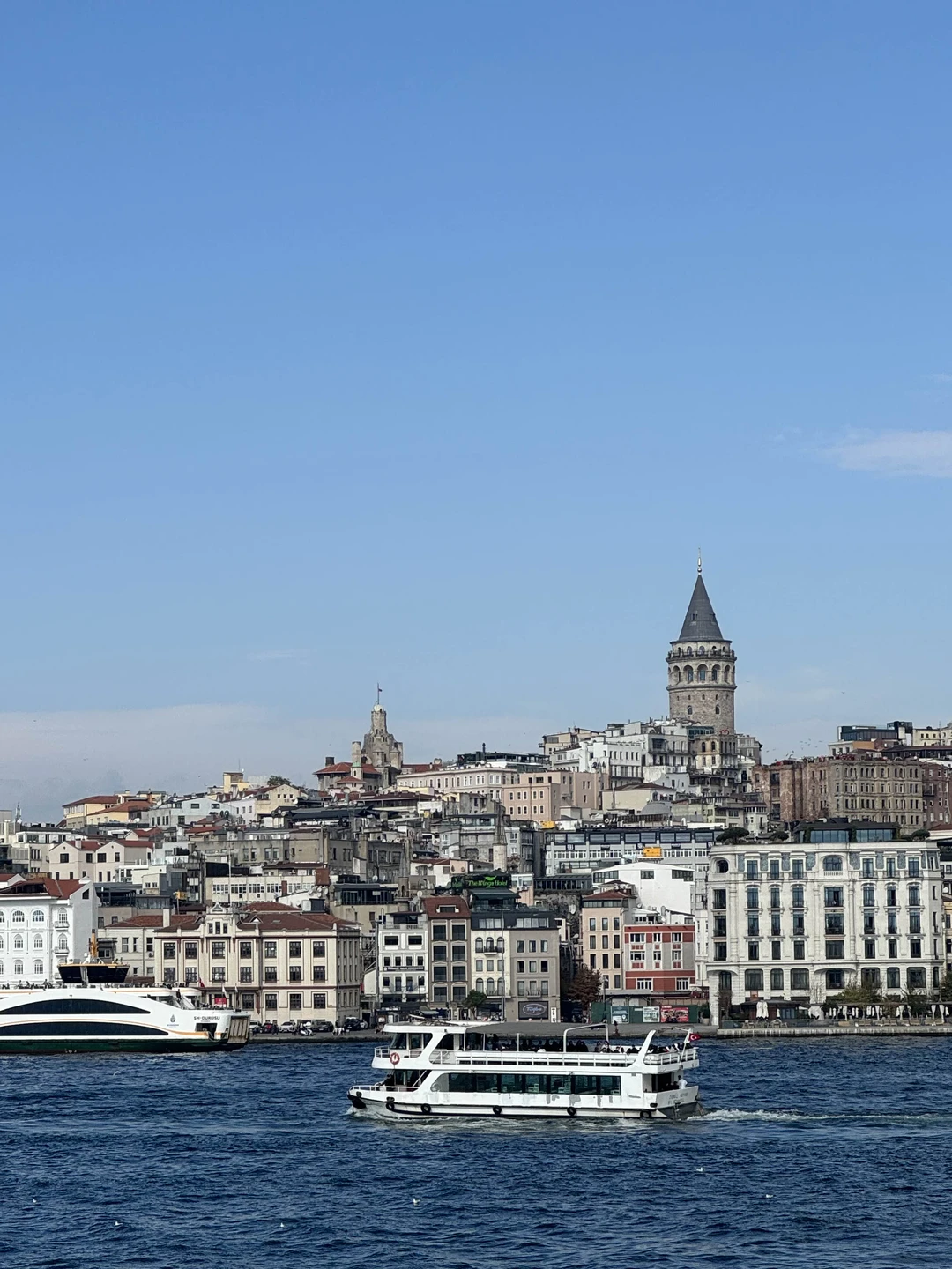 Дмитрий провел для нашей семьи экскурсию. Все было четко, без накладок. Локации интересные и комфортные к