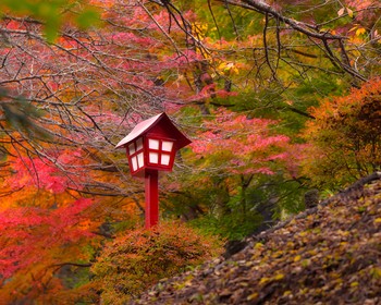 Знаменитая пагода Аракура Фудзи Сэнгэн и клёны огненные дарят чарующий вид, едем в Киото