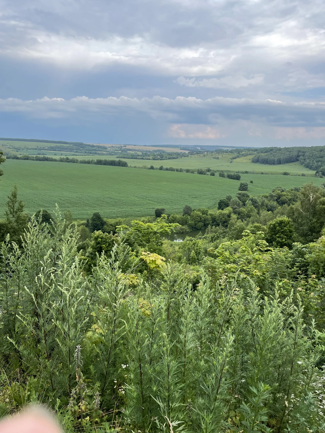 Отличная организация. Удобный Ниссан, прекрасный рассказ Сергея по дороге в Одоев, яркие фото с юмором. Прекрасная