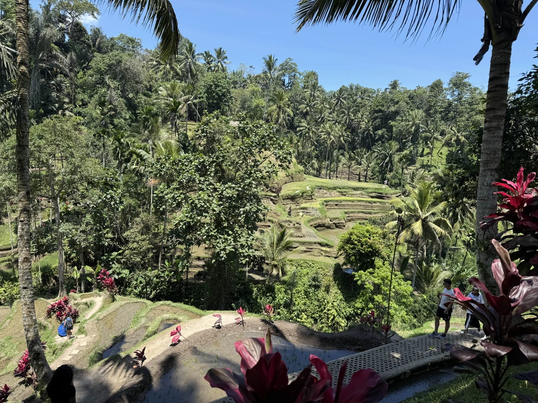 Густи очень хороший гид, по русски говорит с акцентом, но все понятно, знает очень много русских