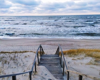Куршская коса, Танцующий лес, Зеленоградск и обед из местной рыбы