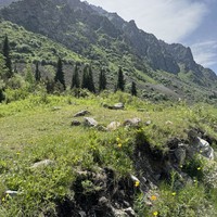 Отзыв о экскурсии "Национальный парк «Ала-Арча»: приключение в горах близ Бишкека" — фото 6