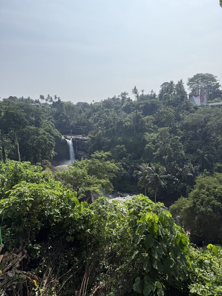 все отлично, оператор был Балиец. Прикольно рассказывал. Но паказалось с его слов, что русских тут не