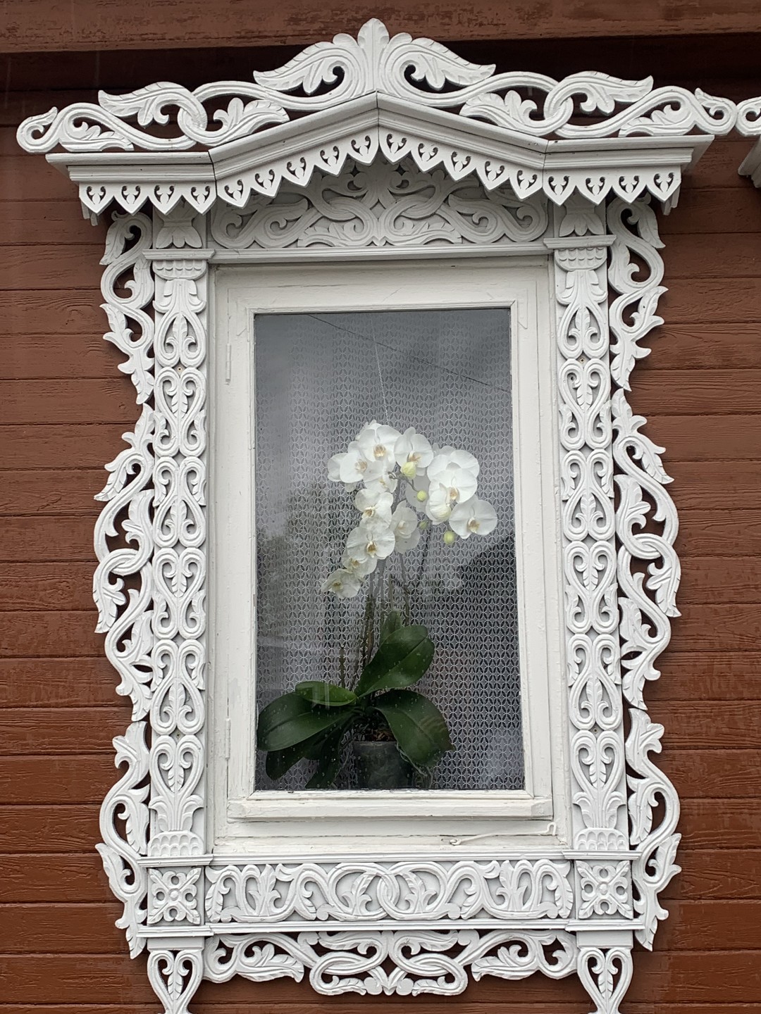Были на экскурсии 10.05.25. Экскурсовод Галина. Очень понравилось. Несмотря на проливной дождь, мы замечательно провели два