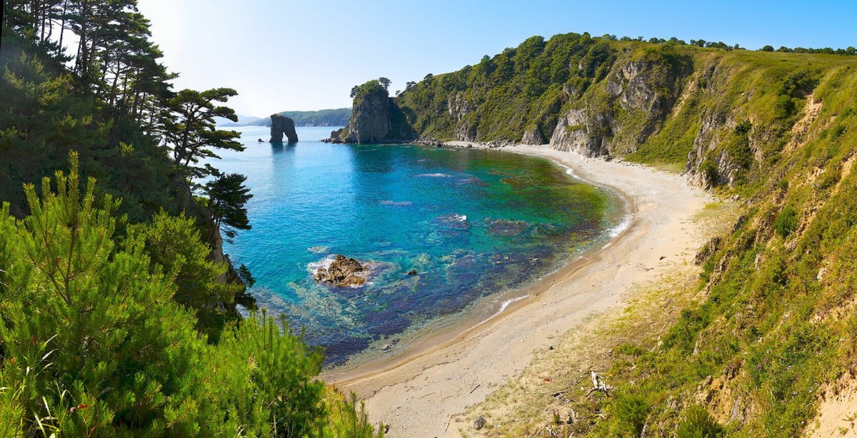 Мыс Сосновый – скалы, тюлени и сосны (8/11)