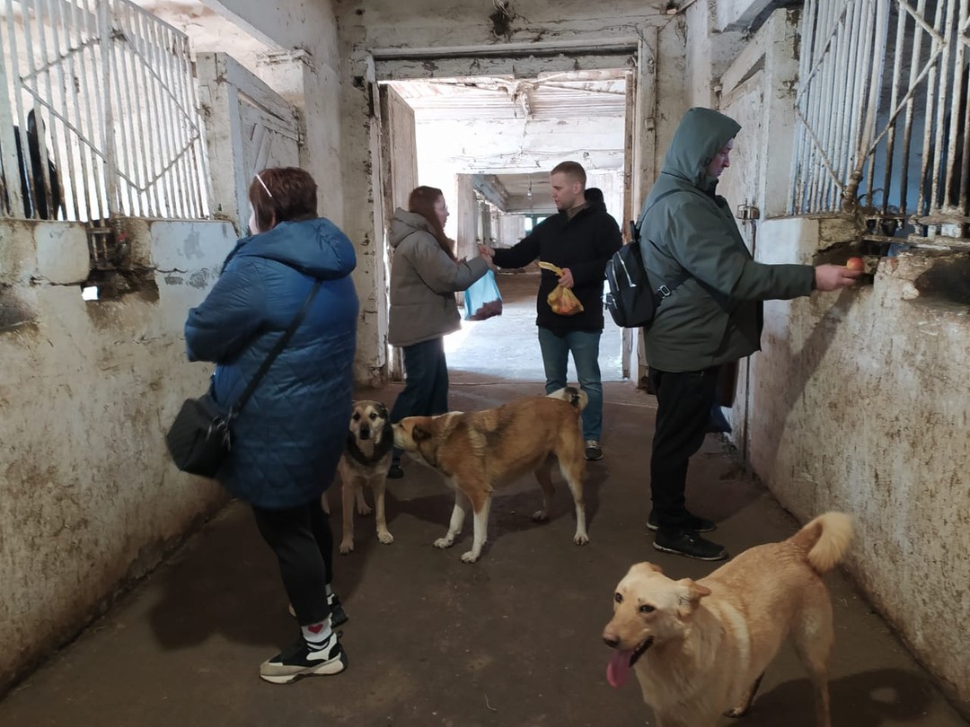 Мы хорошо дружим с племянником мужа и его женой, которые проживают в Москве и когда приезжаем