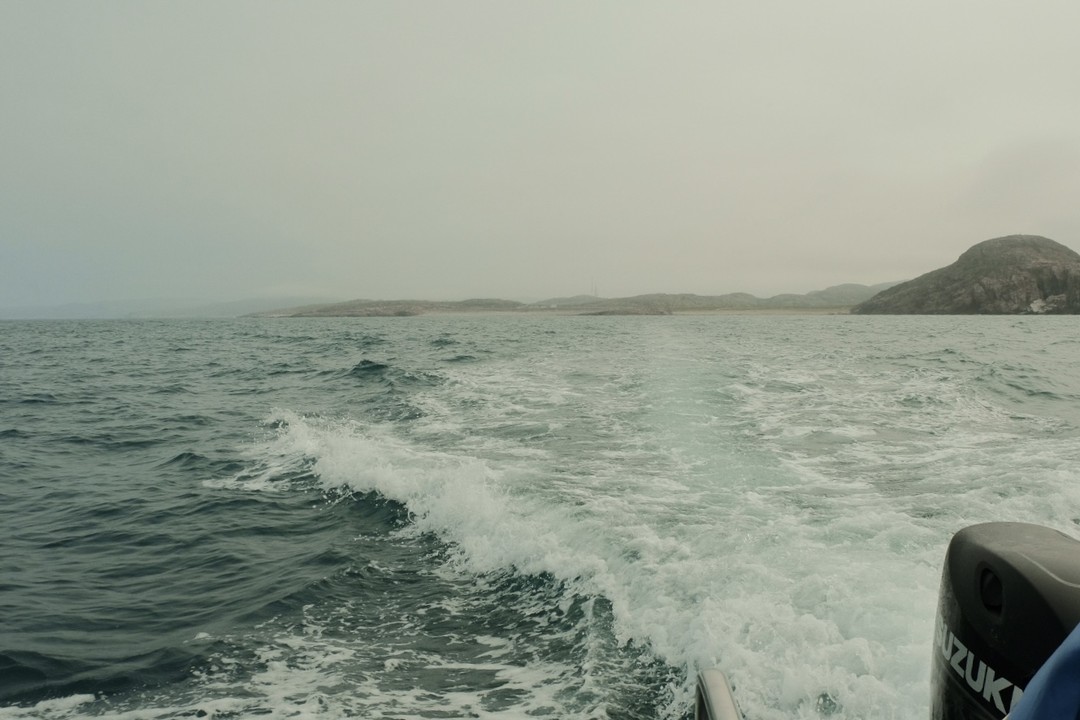 Благодарю нашего капитана и сопровождающую Ирину за теплый приём!