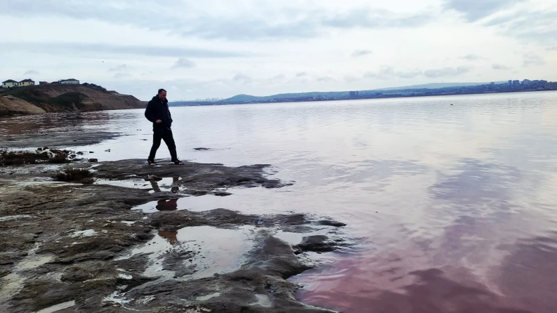 Экскурсия была очень интересная. Рашад рассказывал много интересного. Заранее были забронированы машины, там, где они были