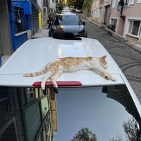 reviews img