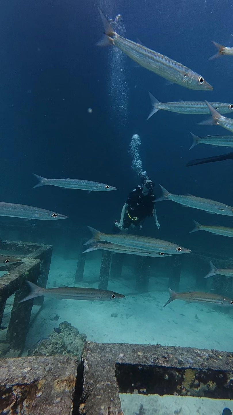 Дайвинг на Пхукете для новичков - всё включено (Влад)