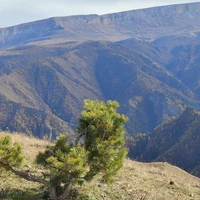 Фото отзыва 2: экскурсия "Джилы-Су: путешествие к северному подножию Эльбруса"