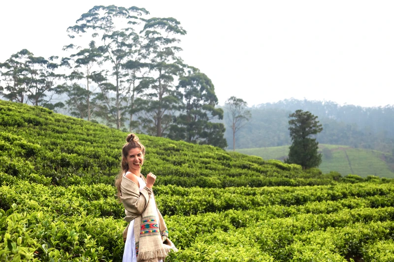 Индивидуально вглубь Малайзии: горы, джунгли, пляжи и эклектичная архитектура