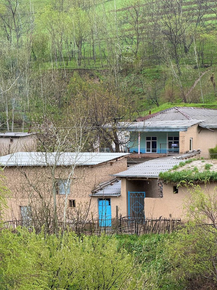 Экскурсия в Шахрисабз и Мираки нам очень понравилась. По дороге из Самарканда открываются красивые горные виды,