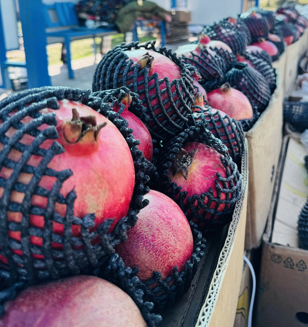 Хочу поблагодарить Хуршеда и всех кто с ним работает за организацию экскурсии. Легко, ненавязчиво, гид в