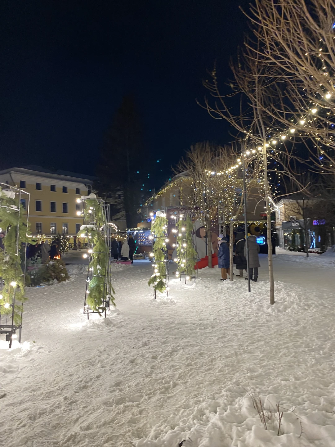 Сборная пешеходная экскурсия по историческому центру Тулы (Галина)