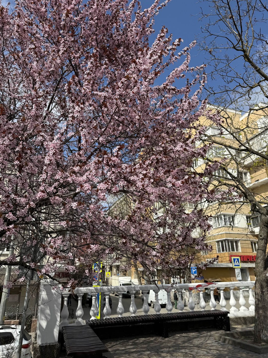 Очень понравилась экскурсия и экскурсовод. От души рекомендую