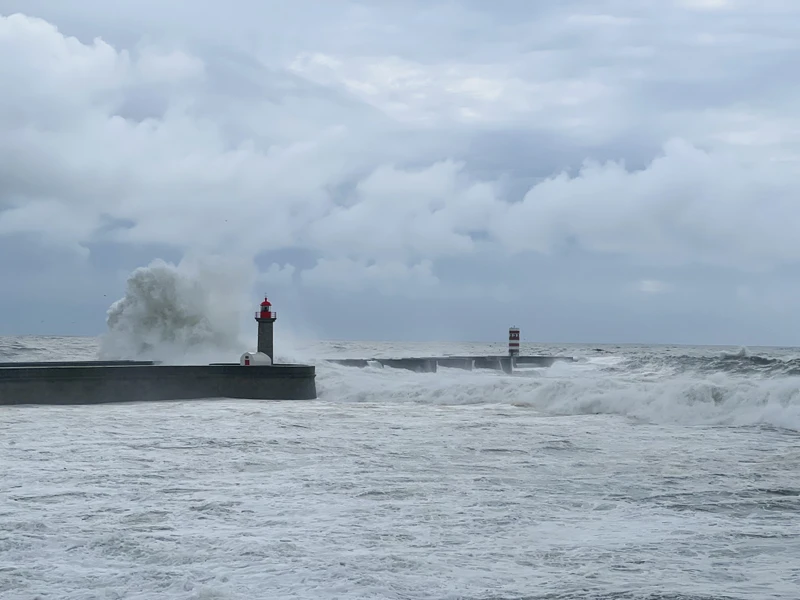 Порту на Tesla: автомобильно-пешеходная экскурсия