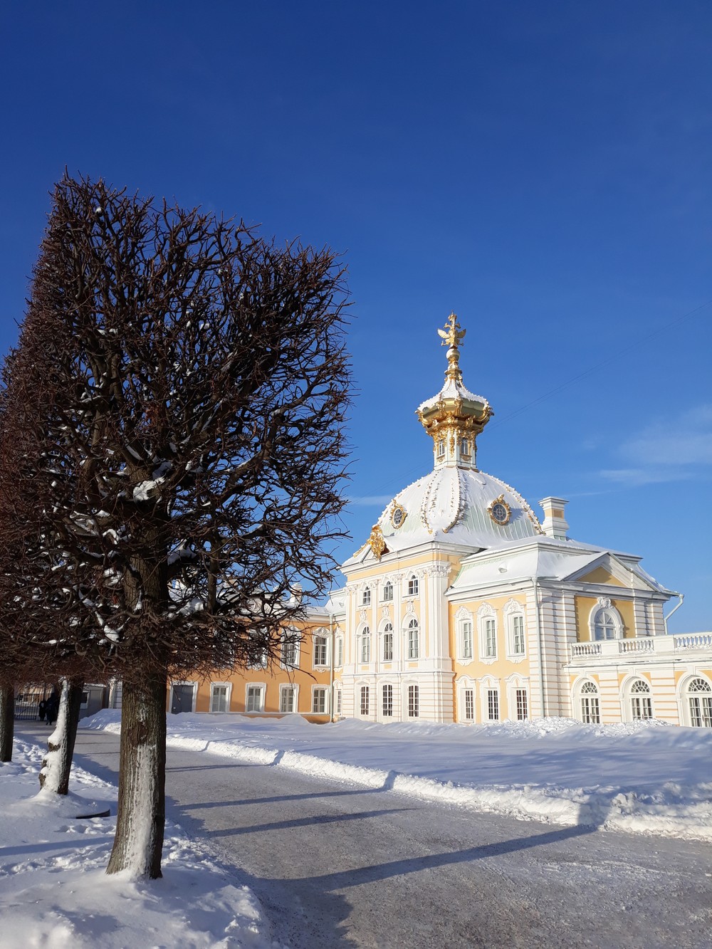 Фото Петергоф: групповая экскурсия в Большой дворец