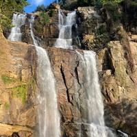 Фото отзыва 4: экскурсия "Тур-знакомство со Шри-Ланкой: чайные плантации, легендарный поезд и подъёмы на вершины"