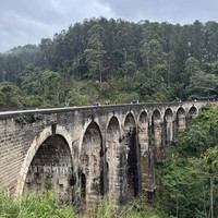 Фото отзыва 2: экскурсия "Город Элла и сафари на джипах в парке Яла — из Галле"