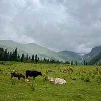 Фото отзыва 1: экскурсия "Альпийские луга и озеро Мзы"