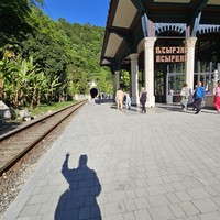 Фото отзыва 3: экскурсия "От пальм к заснеженным вершинам:  экскурсия по Абхазии и трансфер из Сочи"