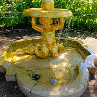 Фото отзыва 3: экскурсия "К фонтанам Петергофа — на метеоре (билеты включены)"