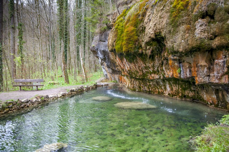 Лесная прогулка по Мюллерталю