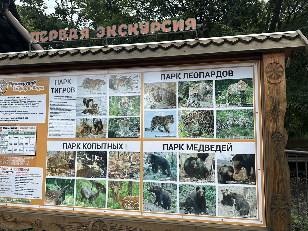 Знаковые и обязательные для посещения места Владивостока в одной экскурсии! Замечательно провели день, даже накупались, интересный