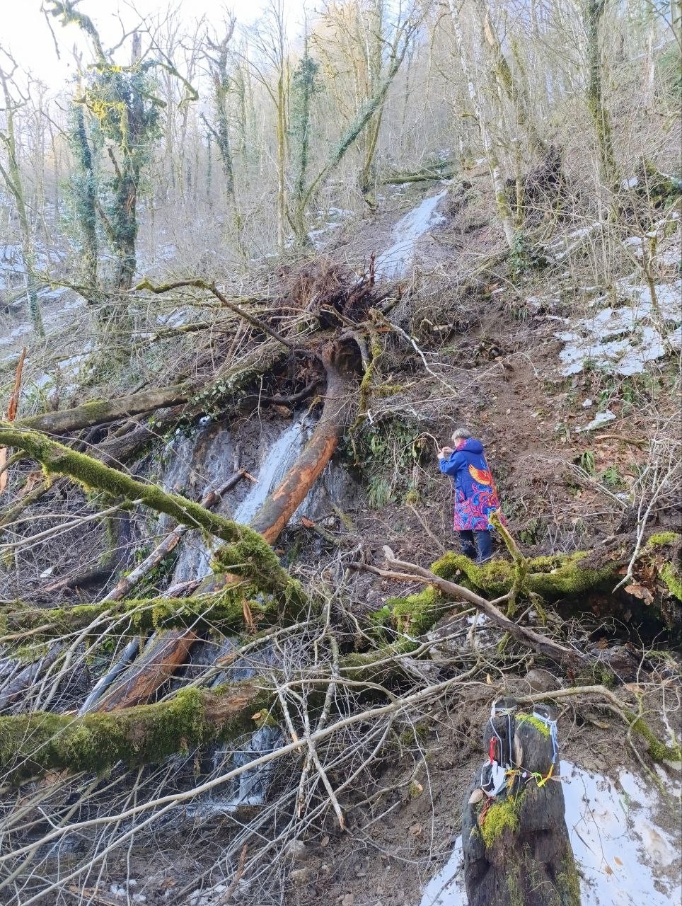 Это был один из самых классных и ярких дней этих новогодних каникул! Мы побывали в красивых