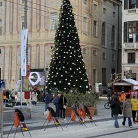 Фото отзыва 2: экскурсия "Диковины Генуи для пассажиров круизных лайнеров"