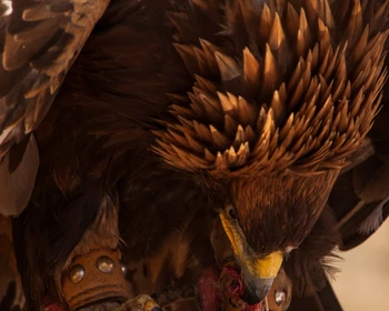 Древняя охота с беркутом, каньон Сказка и мастерская юрт