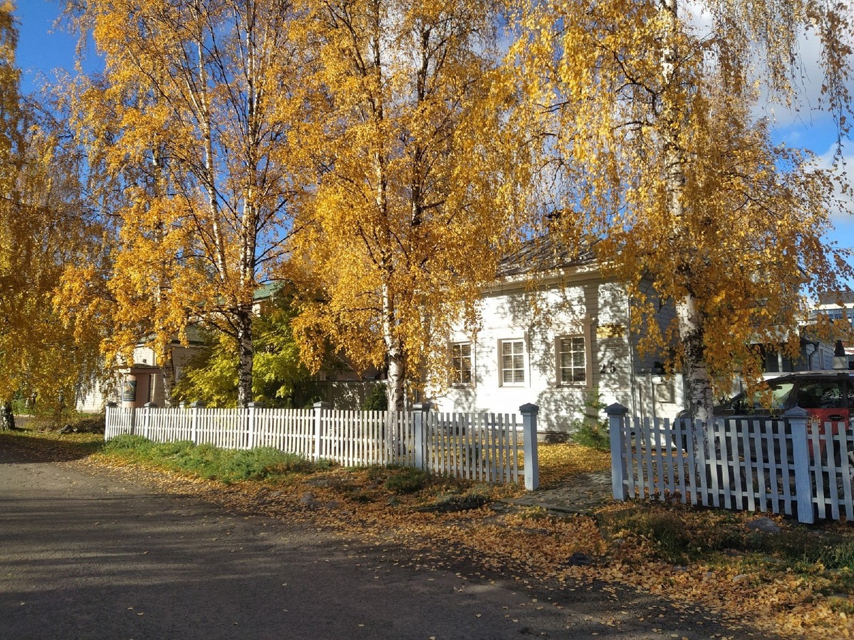 Фото 2 - Экскурсия: "Петрозаводск в трех веках"