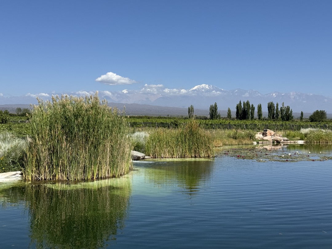 Прекрасная, очень легкая и тем не менее насыщенная экскурсия от знатока своего дела! Две разные и