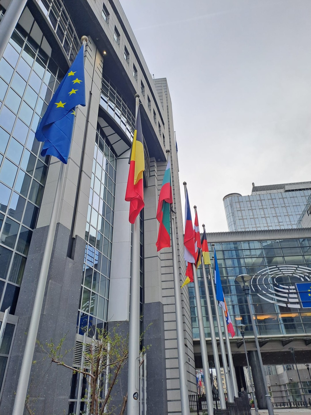 Свидание с Брюсселем каждый день (Svetlana)