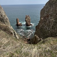 Фото отзыва 1: экскурсия "Путешествие на катере вокруг острова Русский + обед из морепродуктов"