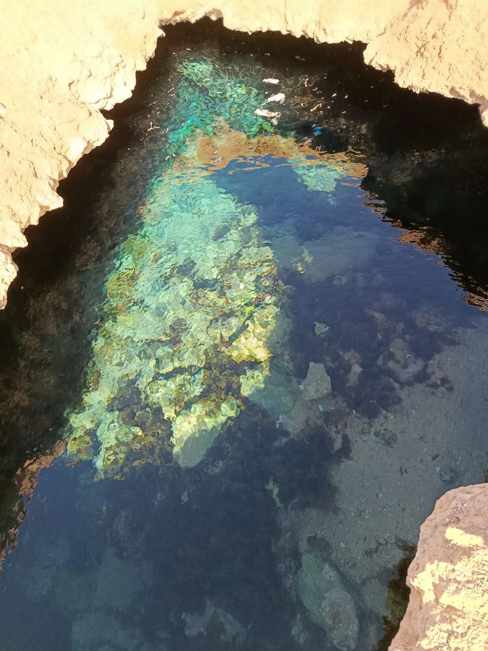 Отличный день в компании с Мустафой. Экскурсия по заповеднику, коралловая стена, которую не увидеть без сопровождения