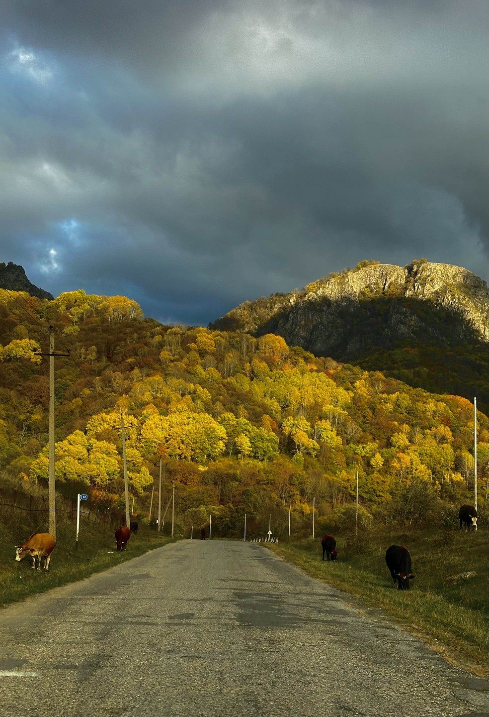 Огромная благодарность за организацию такой экскурсии. Все прошло на высоком уровне☺️