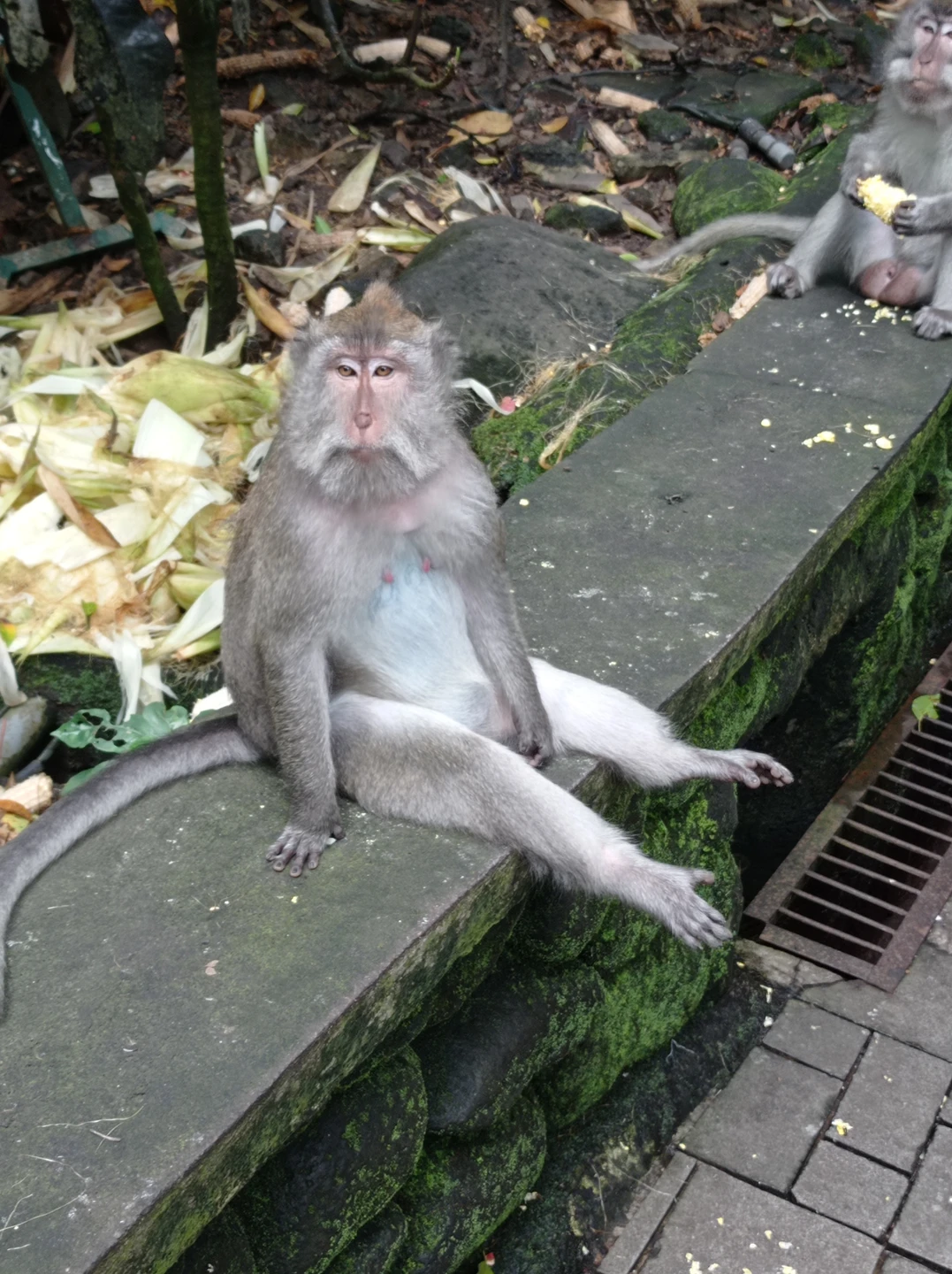 Сила отличный гид, все было очень интересно! Организация экскурсии на отлично!