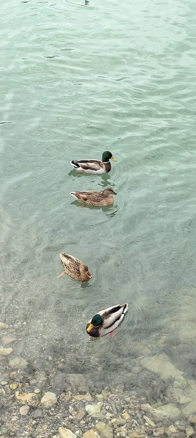Экскурсия понравилось очень. Интересно и познавательно. Места действительно красивые
