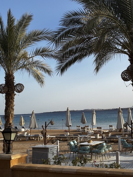 Замечательная прогулка с гидом Екатериной! Красивая локация, успели застать как светлое время суток, так и закат