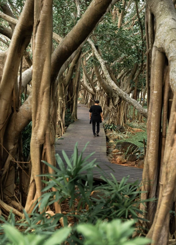 Настоящий Хайкоу: вулканы, деревни, жилые массивы