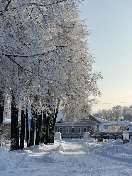 Я и моя подруга остались в восторге от экскурсии, которую провела для нас Светлана! В Городце