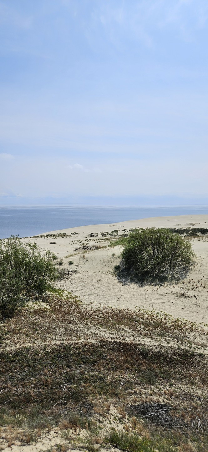 Все понравилось, были не в первый раз, Наталья показала новые локации, узнали много интересного, рекомендуем)