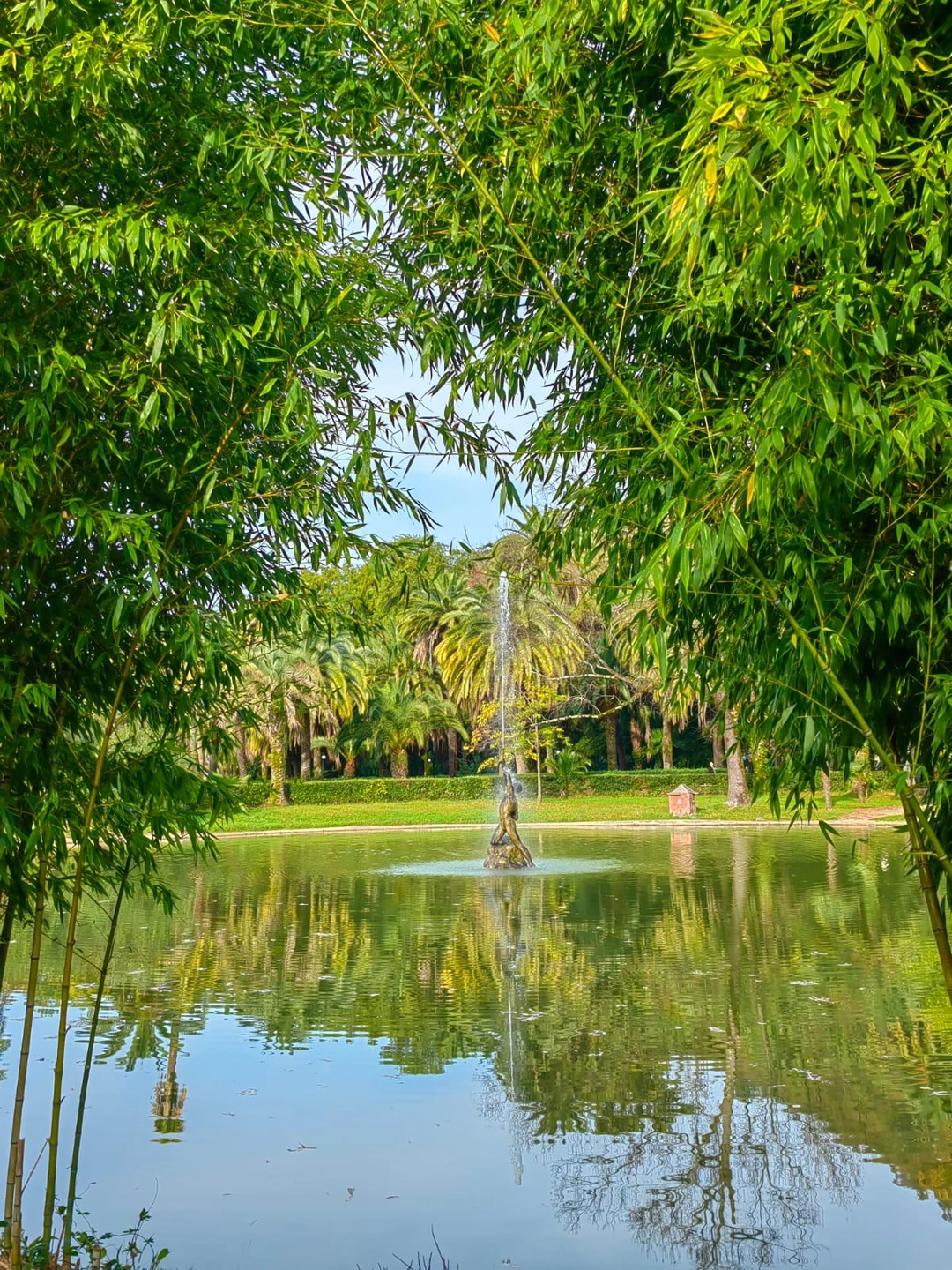 11 ноября всей семьей были в Абхазии, экскурсовод Виталий заранее с нами связался,обговорили время и место